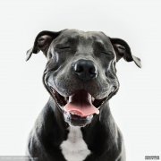 熊猫体育_子宫肌瘤先怀孕还是先手术？
